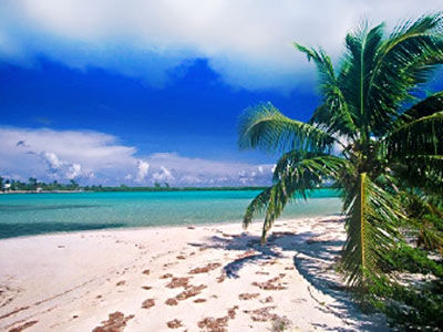 Pe Na Estrada Porto Seguro